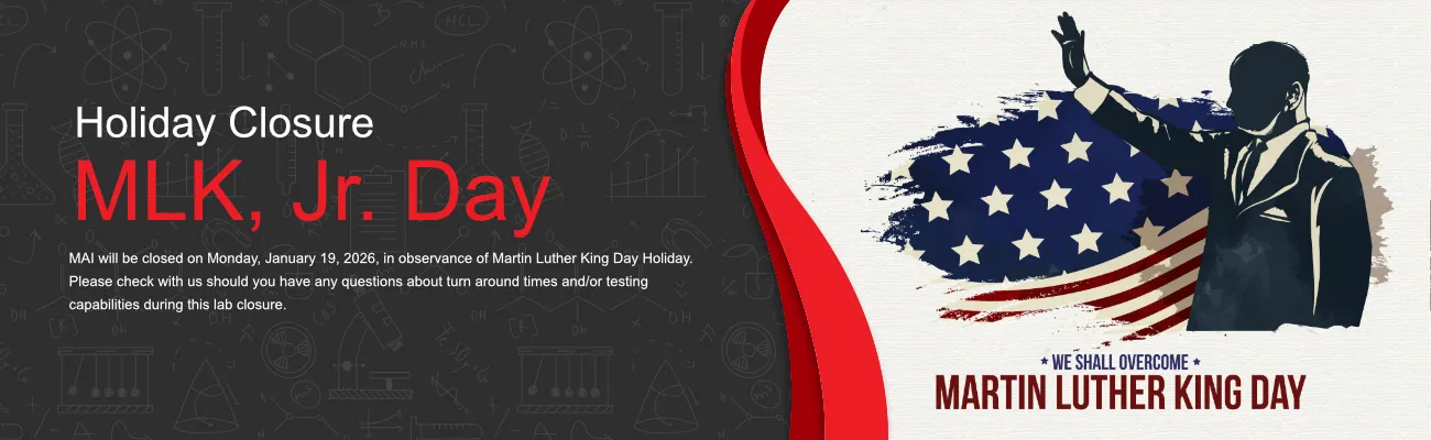 Martin Luther King, Jr. Holiday