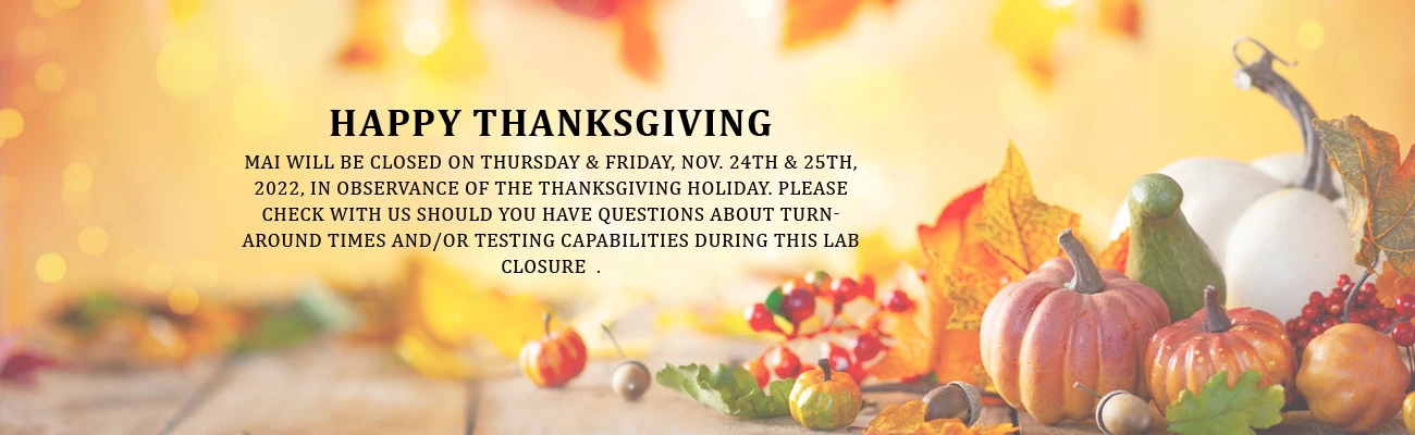 Thanksgiving holiday hours